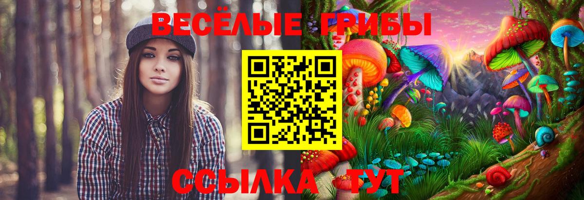 Галлюциногенные грибы мицелий  Вход с VPN  Тобольск 